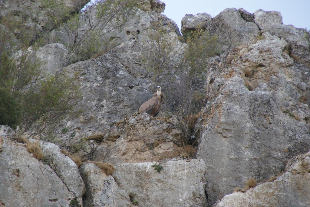 Valle de Tabladillo Dulce Encanto Del Valle מראה חיצוני תמונה
