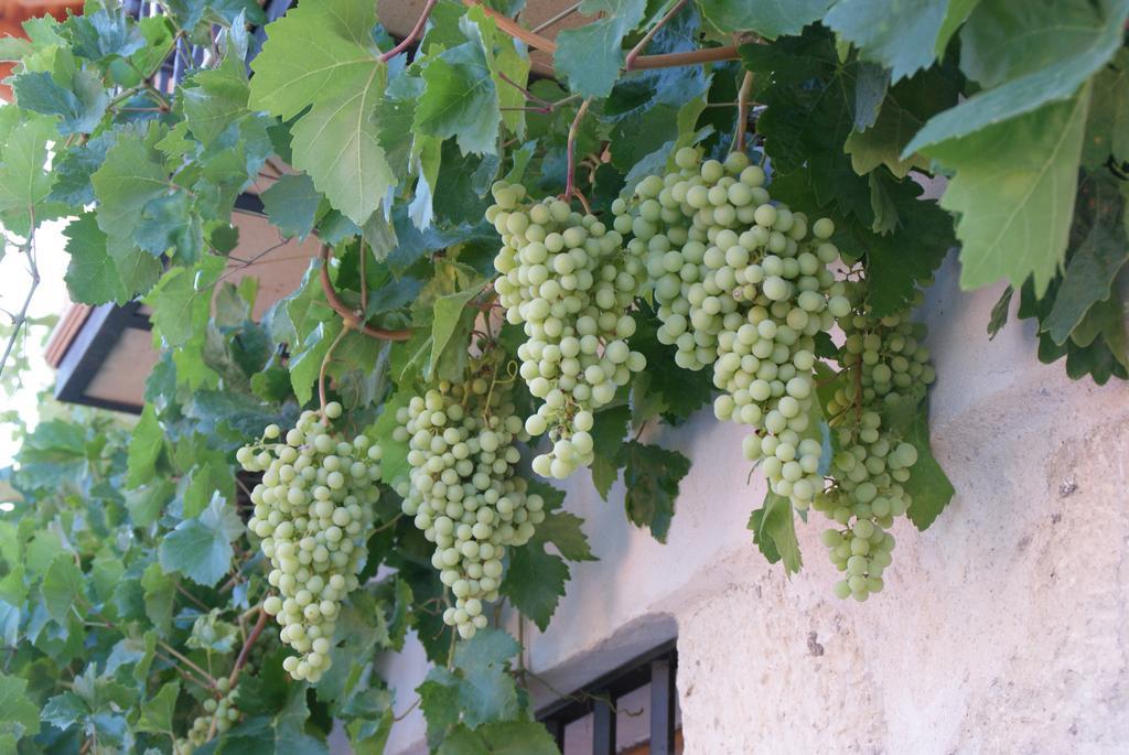 Valle de Tabladillo Dulce Encanto Del Valle מראה חיצוני תמונה
